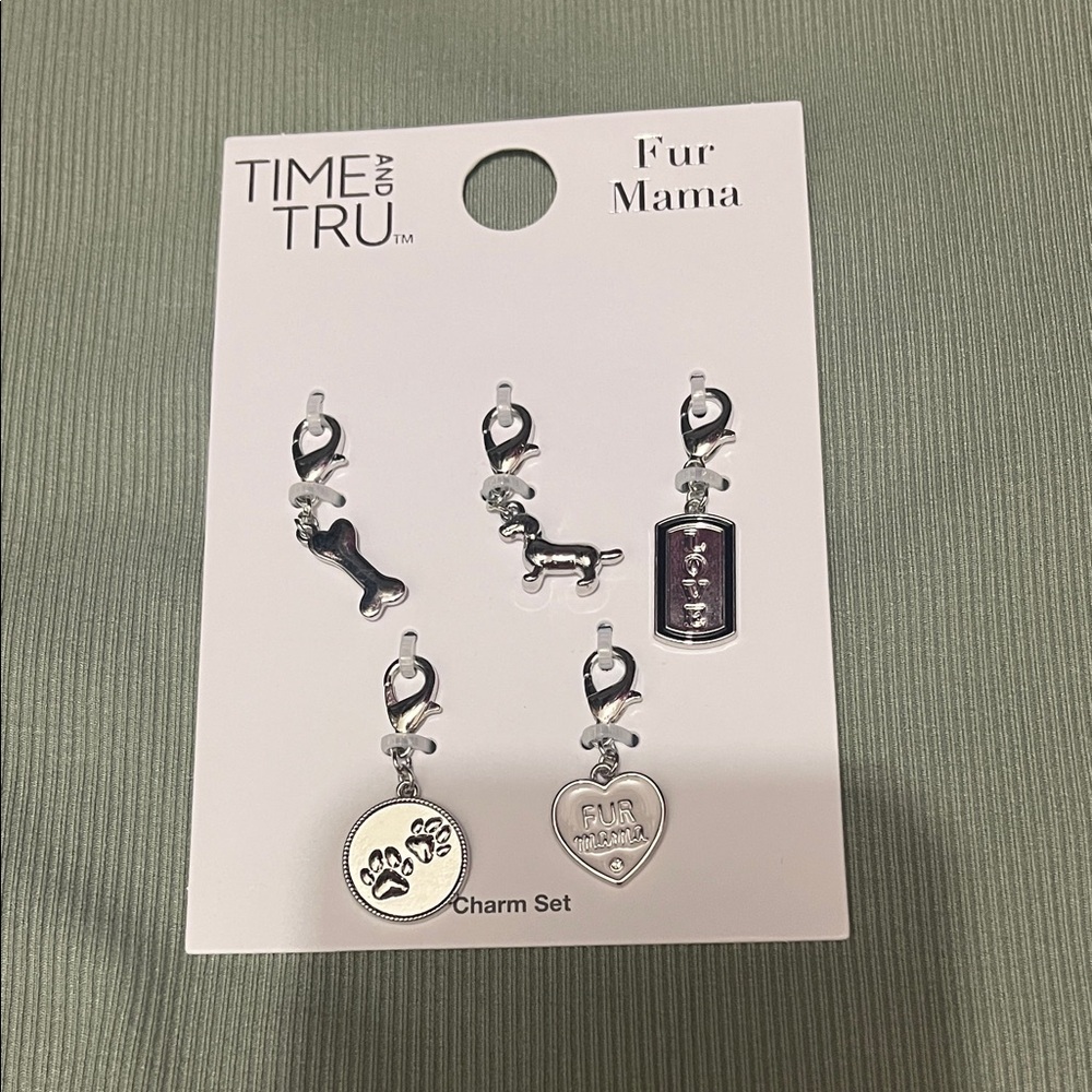 Silver Pet Charm Set with Paw, Bone & Heart Accents